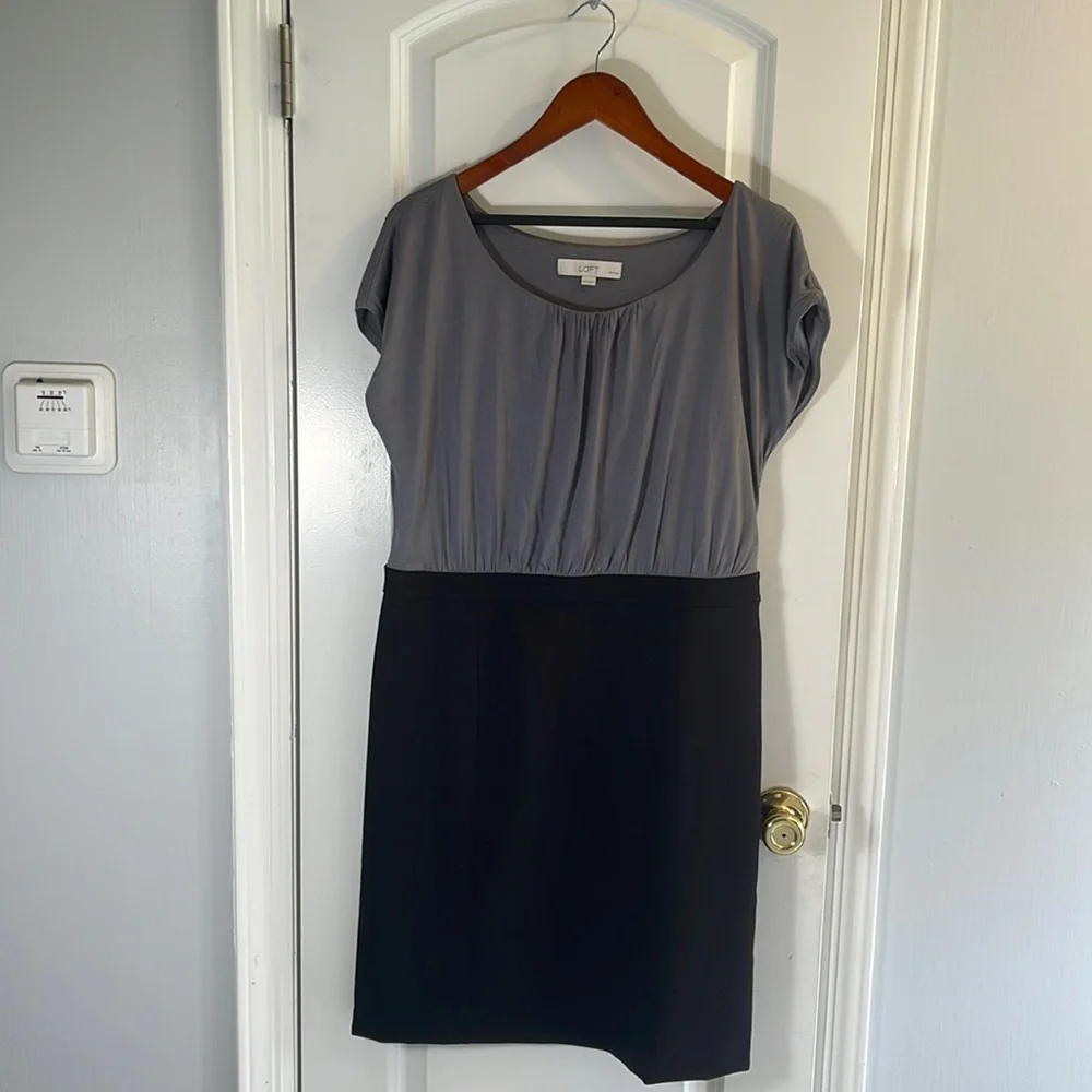 Ann Taylor Loft women’s sleeveless dress - Picture 1 of 4